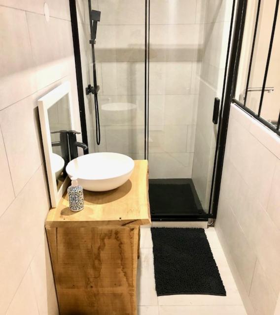 a bathroom with a sink and a shower at Appart&#39; Bois et Forêt Centre in Saint-Étienne