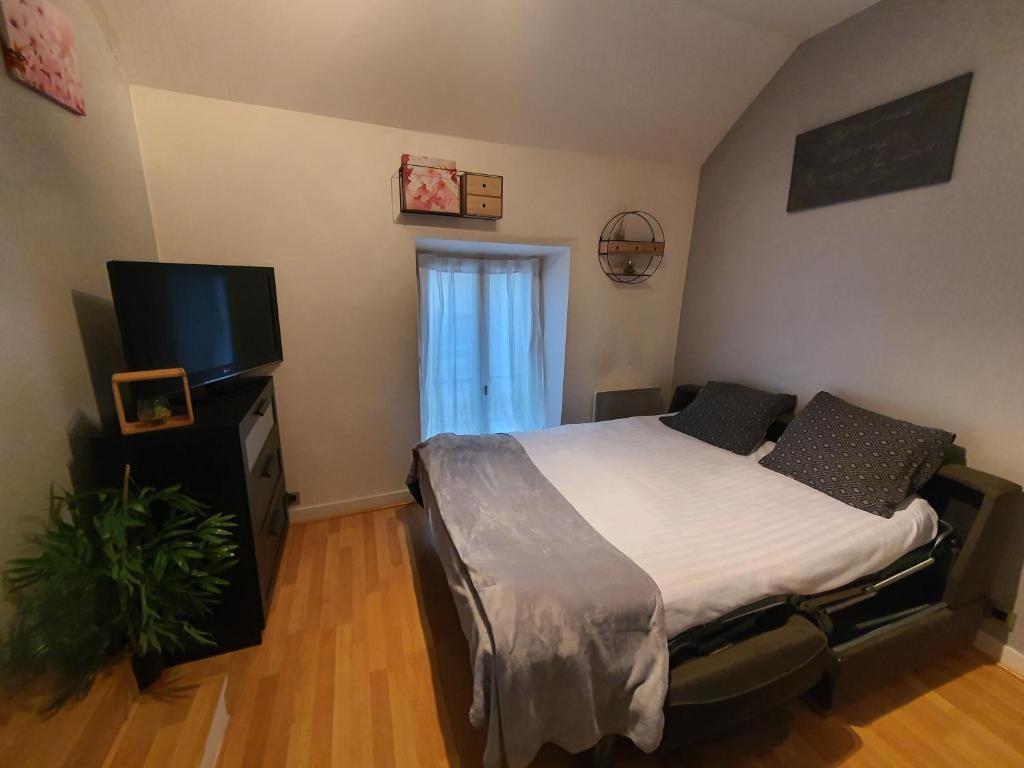 a bedroom with a bed and a flat screen tv at F1 Meublé et Confortable en cœur de ville in Longjumeau