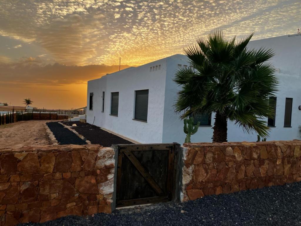 a white building with a palm tree next to a wall at Can Altavista in Puerto del Rosario