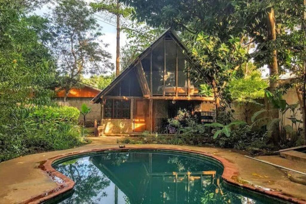 une maison avec une piscine en face de celle-ci dans l'établissement Cottage in Arusha-Wanderful Escape, à Arusha