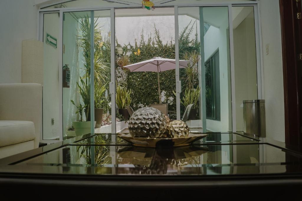 Fotografie z fotogalerie ubytování Hotel CEO Group v destinaci Campeche