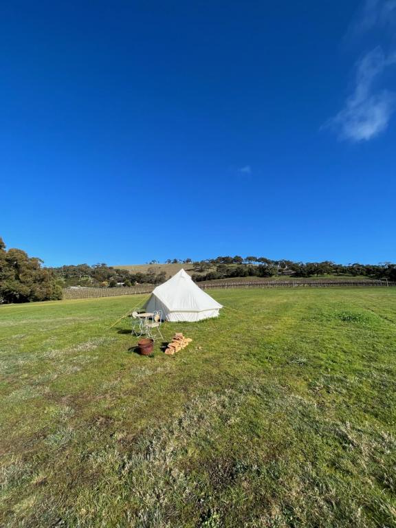 une tente blanche dans un champ d'herbe dans l'établissement Cosy Glamping Tent 5, à Ararat