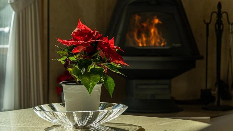 a vase with a red flower in front of a fireplace at Amuse 545 in Yangpyeong