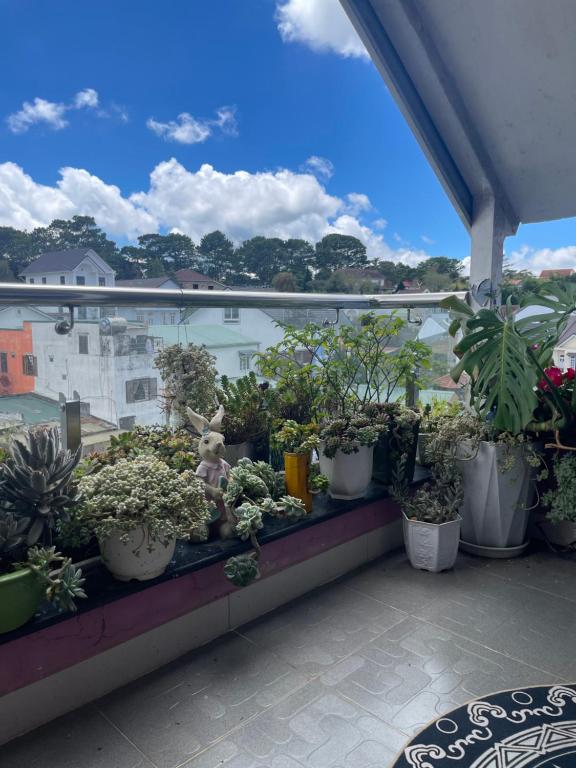 Ban công/sân hiên tại Selena Dalat Homestay