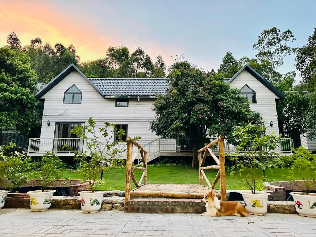 Hòn Ngọc Xanh - Green Pearl Retreat - Ngọc Vừng, Ngọc Vừng (cập nhật giá  năm 2026)