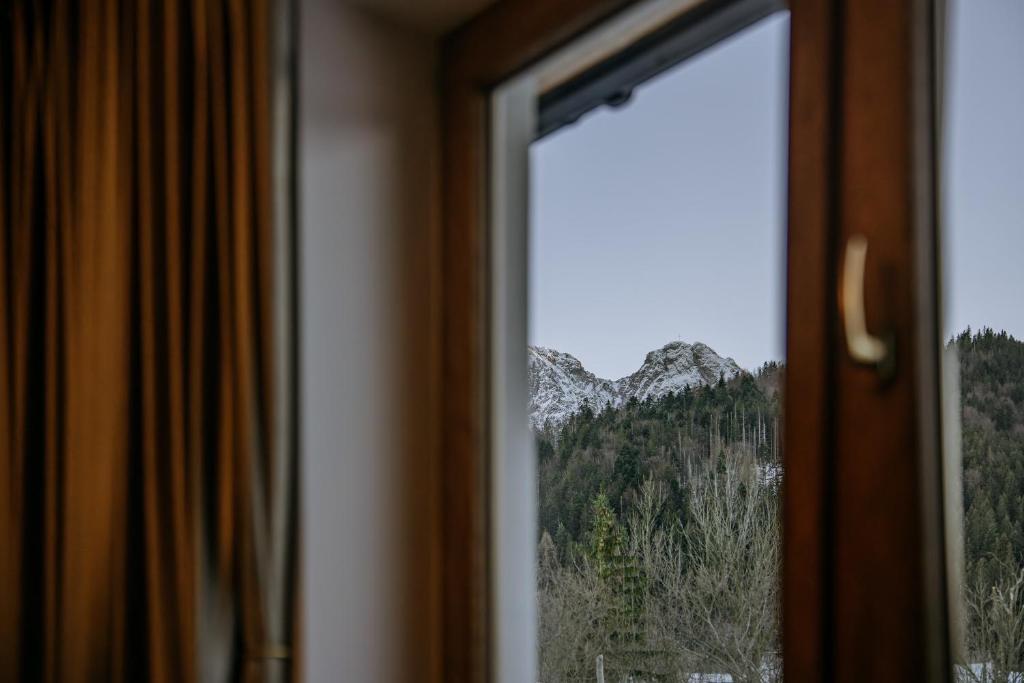 Willa Zielone Wzgórze - Zakopane - Luksusowe apartamenty - 11