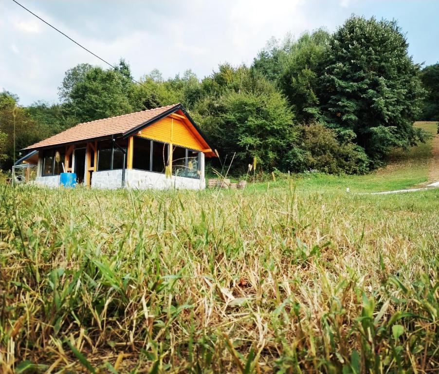 Příroda nedaleko prázdninového domu