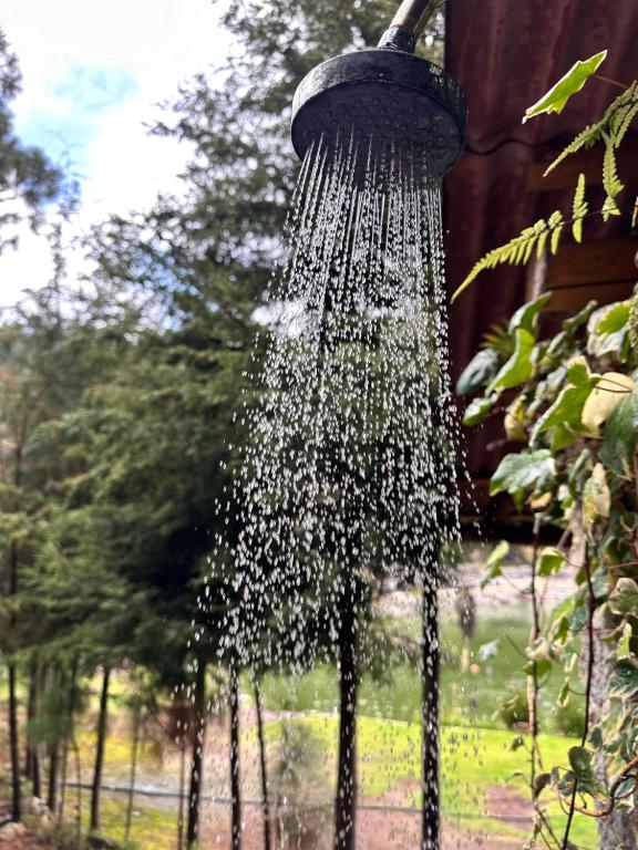 Zahrada ubytování Los Azufres Spa Natural