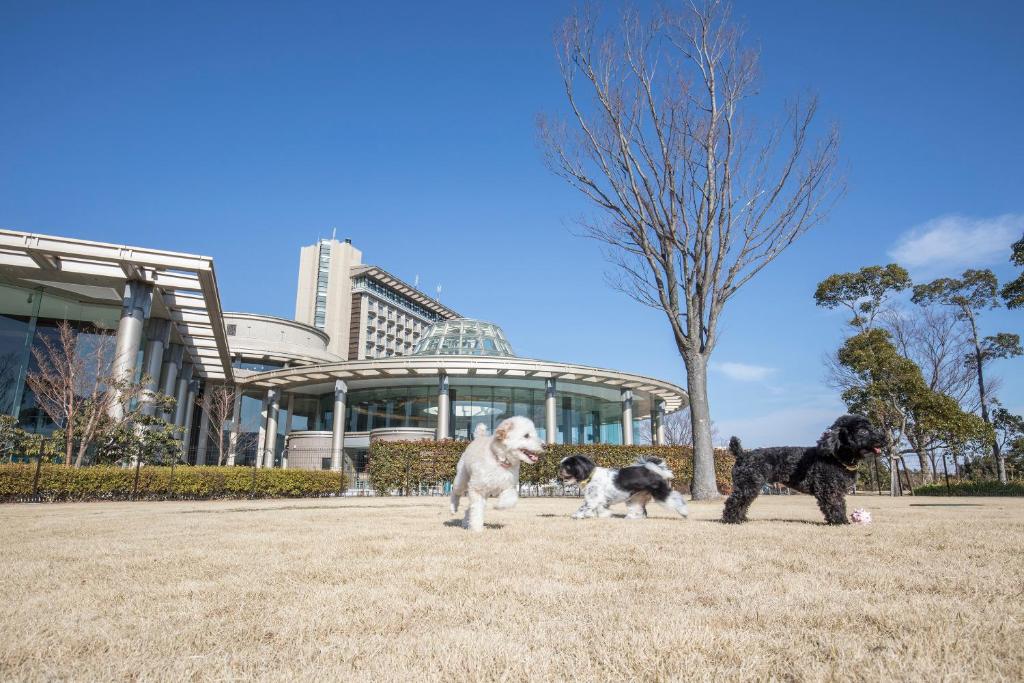 Domácí mazlíčci ubytovaní s hosty v ubytování Hilton Odawara Resort & Spa