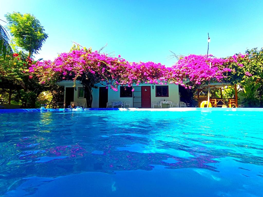 a swimming pool with blue water and pink flowers at OASIS Phuket Airport in Ban Bo Sai Klang