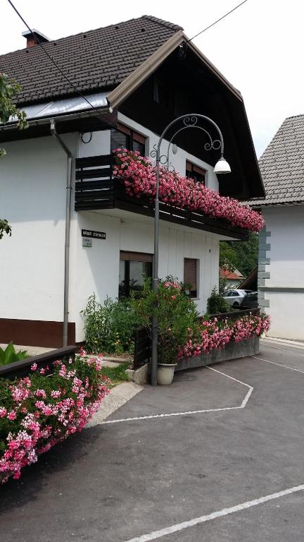 Apartments Gregorc - Studio Apartment