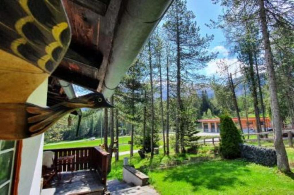 Zahrada ubytování Chalet M