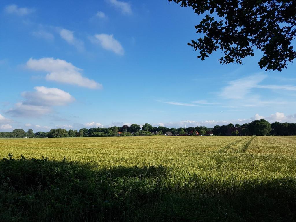 a field of grass with a tree in the foreground at Fewo Spiegelberg in Loxstedt
