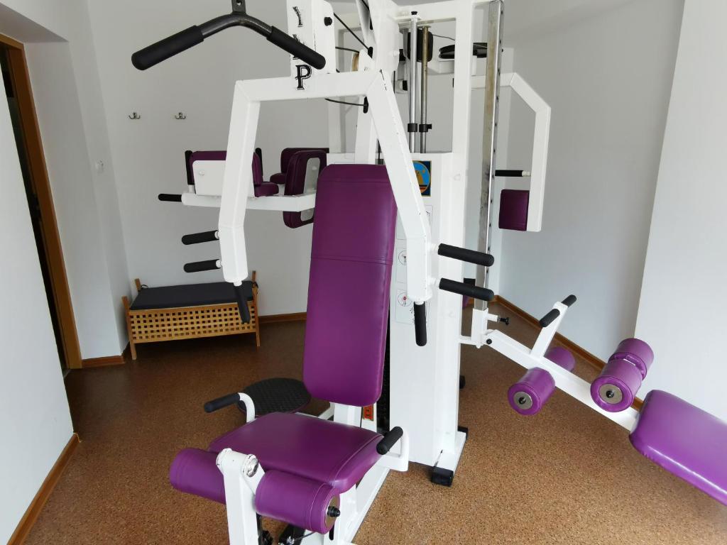 Posilňovňa alebo fitness centrum v ubytovaní Zespół Dolina Białego - Pensjonat Biały Potok