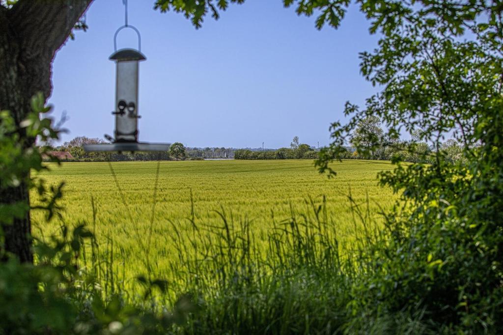a field of grass with a clock tower in the background at Ferienwohnung Luv in Gelting
