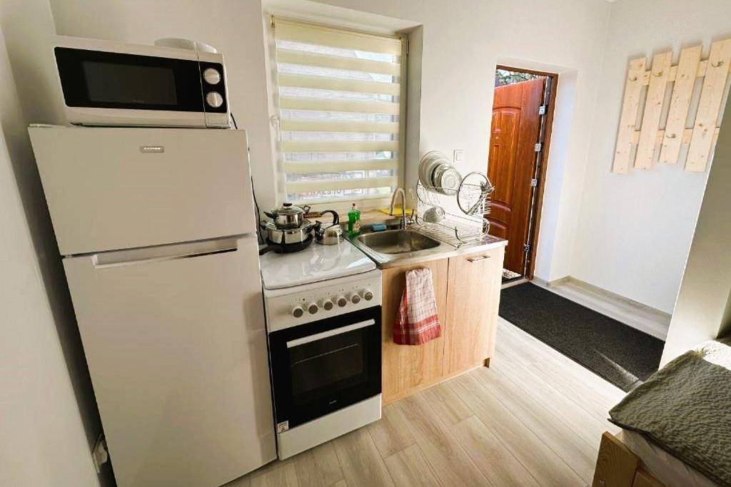 Olszyna Pod Brzozą - Apartamento - Planta Baja