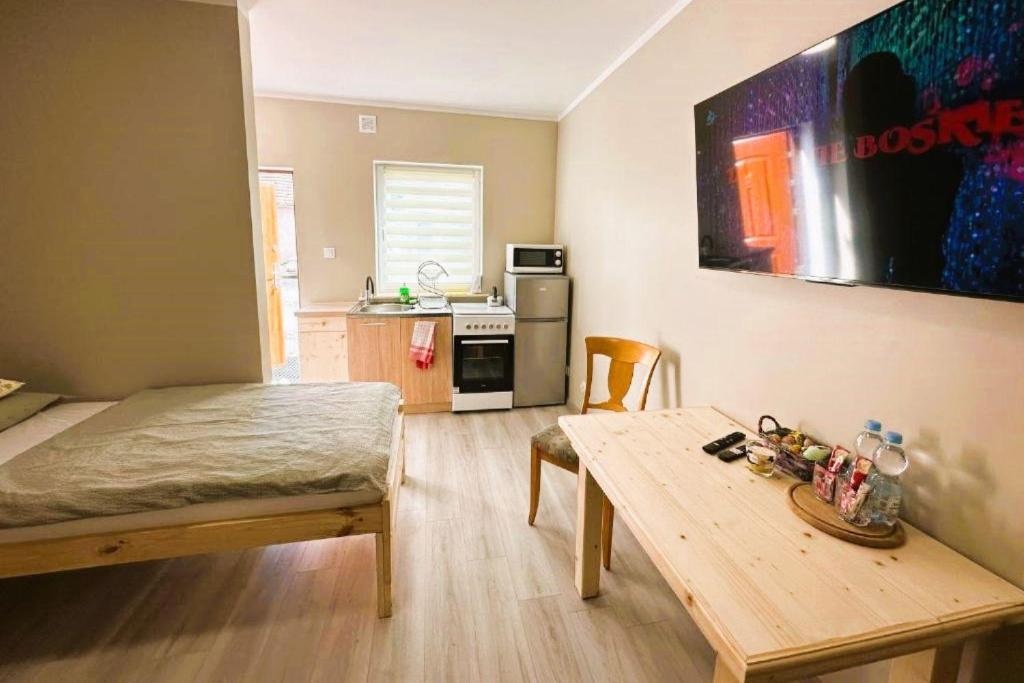 Olszyna Pod Brzozą - Apartamento - Planta Baja