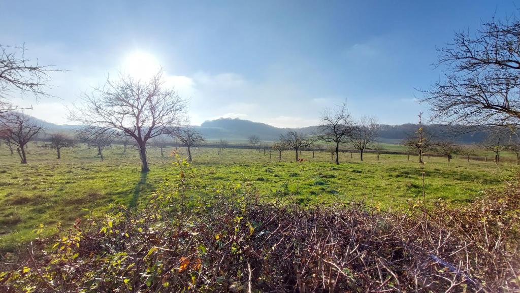 Bed & Breakfast Hotel Het Gerendal - Resim 4