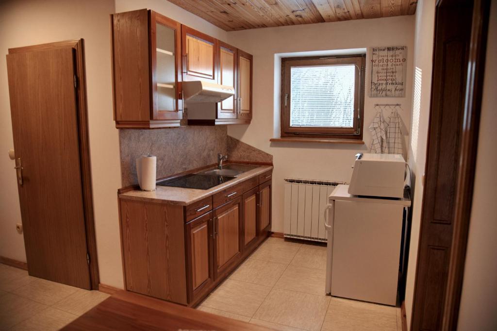 Kuchyň nebo kuchyňský kout v ubytování Rooms and Apartments Panker