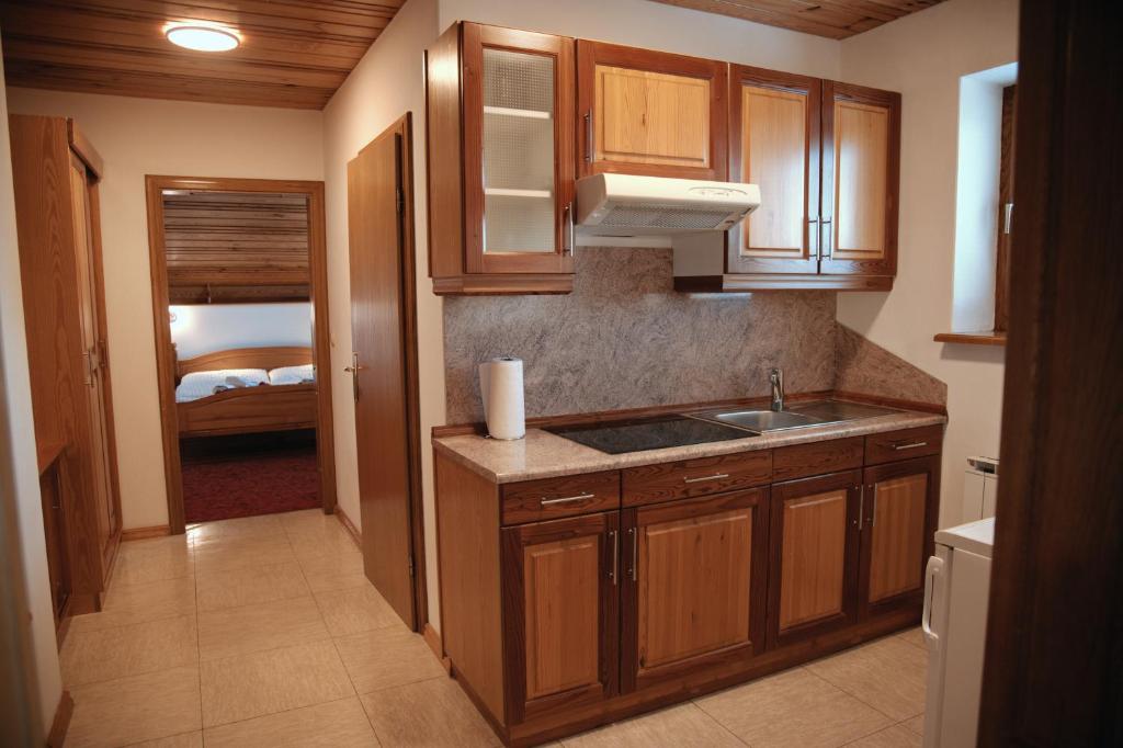 Kuchyň nebo kuchyňský kout v ubytování Rooms and Apartments Panker