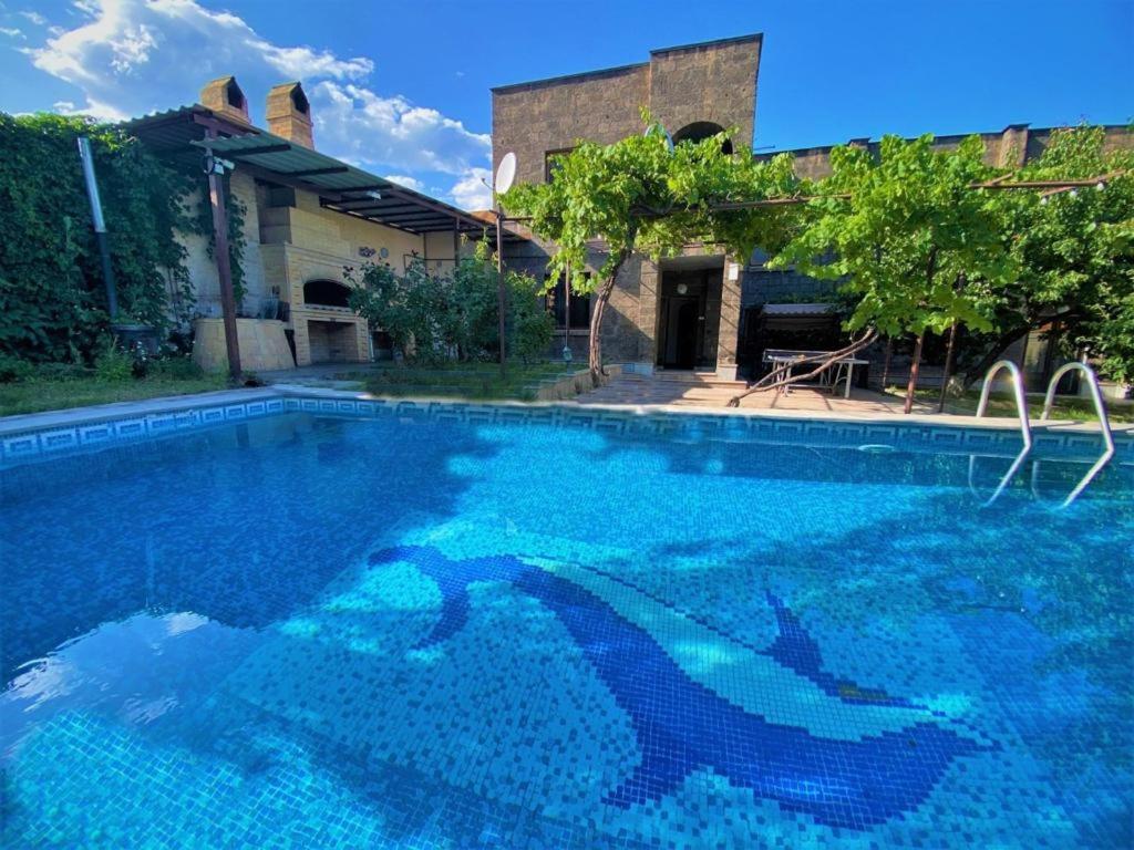 uma piscina com um tubarão pintado nela em Holliday Villa em Aghtsʼkʼ