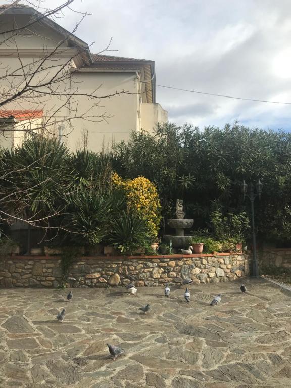 Zahrada ubytování Hébergements à La Rive, Accueil ouvert tous les jours jusqu'à 20h00 dernier délai, depuis 30 ans ! Réserver ici svp ! Merci ! Aucun règlement à distance accepté, Paiement par CB, Espèces, Chèque ou Chèques-Vacances impérativement à la remise des clefs !