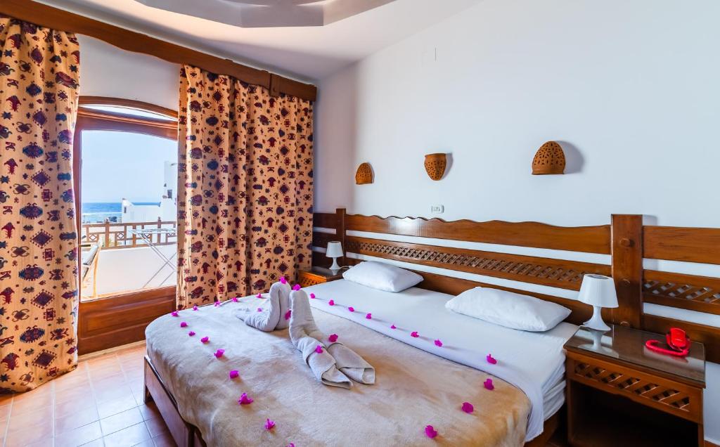 een hotelkamer met 2 bedden en schoenen erop bij Daniela Diving Resort Dahab in Dahab