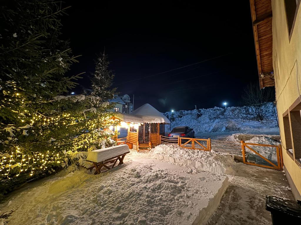einen Pavillon mit einem Weihnachtsbaum im Schnee bei Nacht in der Unterkunft Cabana AlexMid in Ranca