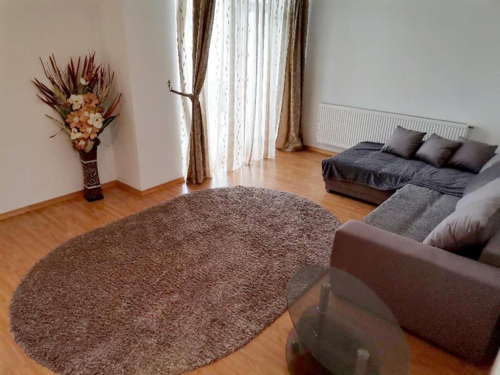 ein Wohnzimmer mit einem Sofa und einem Teppich in der Unterkunft Apartament Selimbar in Sibiu