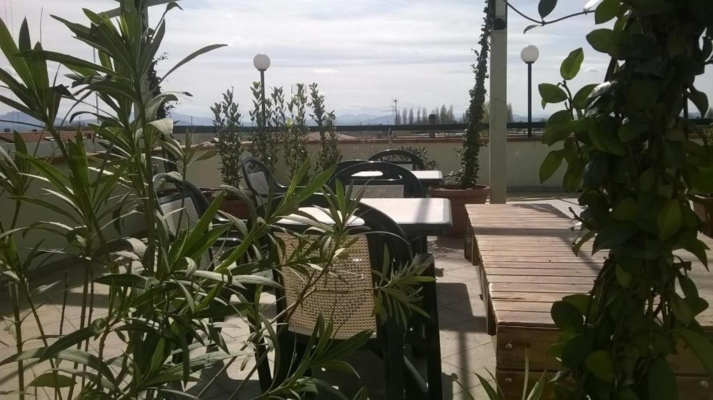Příroda nedaleko hotelu
