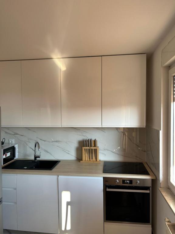 Apartment Pius Zagreb, Private Garage - 2