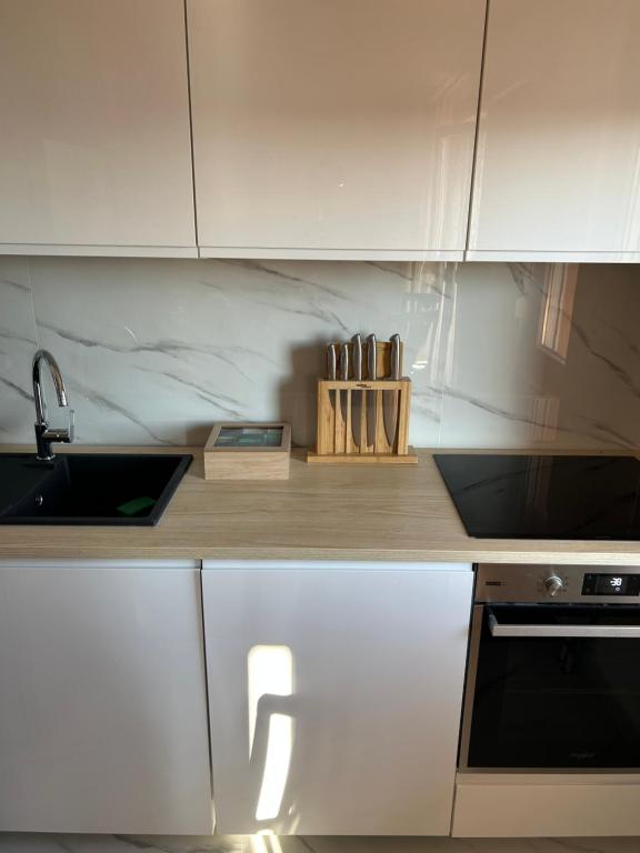 Apartment Pius Zagreb, Private Garage - 4