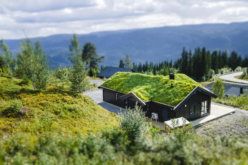 una casa con techo de césped en la cima de una colina en Chill cabin - fantastic view and nice hiking area, en Aurdal