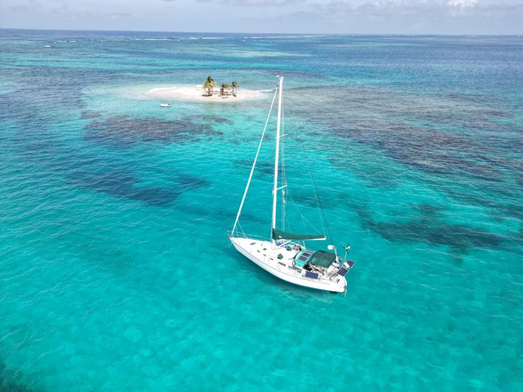 a boat in the water in the ocean at Sailboat Anemoi Sailing - Private Charter in San Blas in Mamartupo