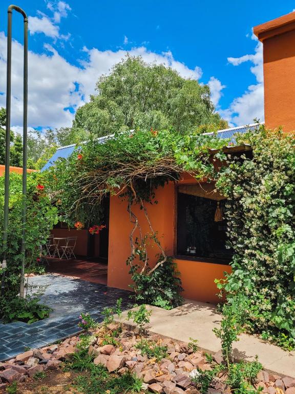Zahrada ubytování Finca La Saucina Casa de Campo