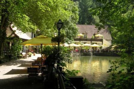 een park met een vijver en tafels en parasols bij Waldhotel Silbermühle in Horn-Bad Meinberg