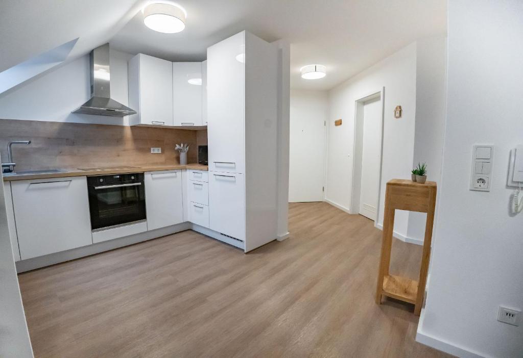 Kuchyň nebo kuchyňský kout v ubytování High-quality renovated apt (TLA/Tlf/TDY-RAB)
