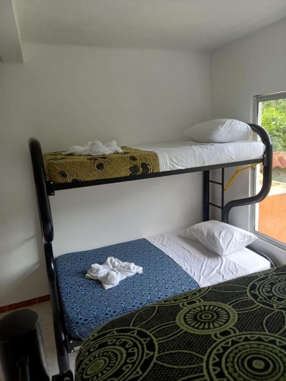 Guacamayas Resort Vacation - Habitación Cuádruple Con Baño Compartido