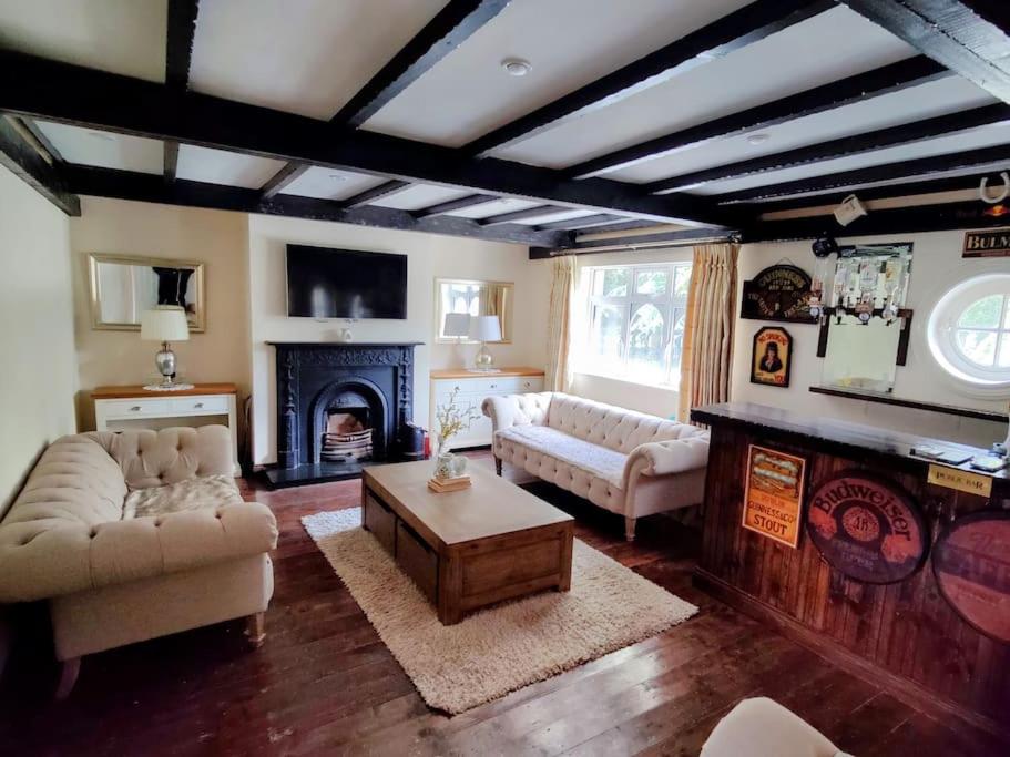 a living room with two couches and a fireplace at Entire home at Ballysax House in Newpark
