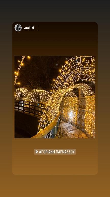 Fotografie z fotogalerie ubytování Asimina Guesthouse, Eptalofos Parnassos v destinaci Eptalofos