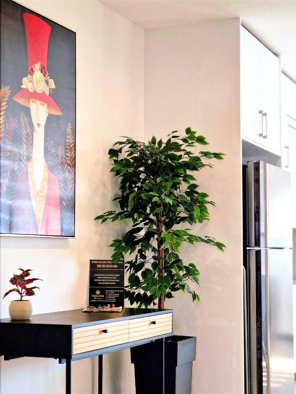 Fotografie z fotogalerie ubytování Sveltos Residence Suites v destinaci Larnaka