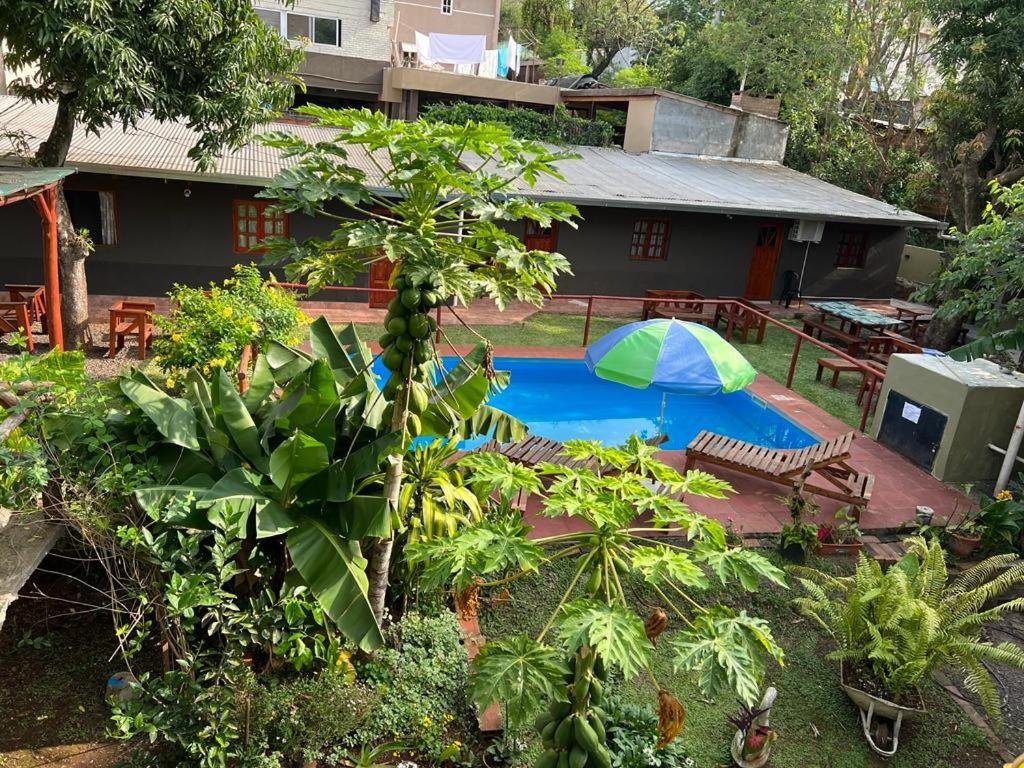 a backyard with a pool and a house with a umbrella at Cabañas Vacaciones Copadas VC in Puerto Iguazú