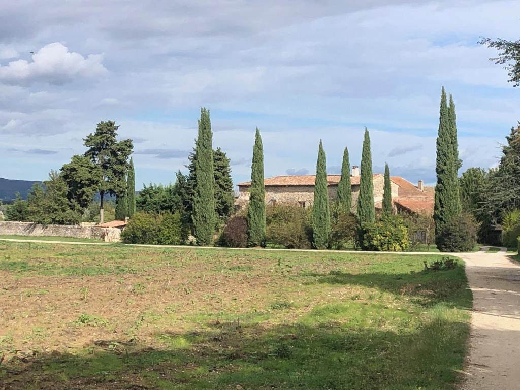 a row of cypress trees in a park at Gîte Le Mas du Colombeyras in Espeluche