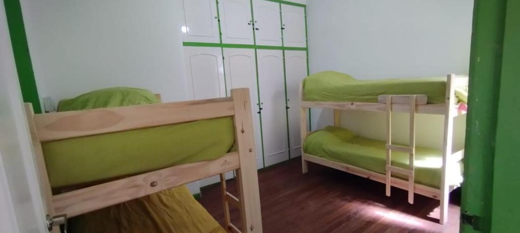 Habitación con 2 literas y sábanas verdes. en Maui Hostel en Mar del Plata