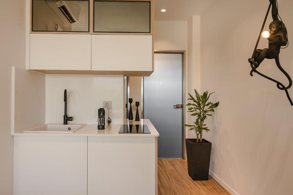 Kuchyň nebo kuchyňský kout v ubytování PIAZZA SUITES