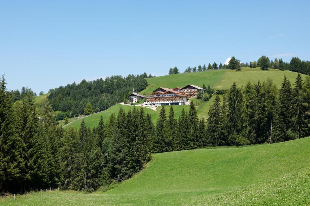 a house on top of a green hill with trees at Kräuterhotel Zischghof in Obereggen