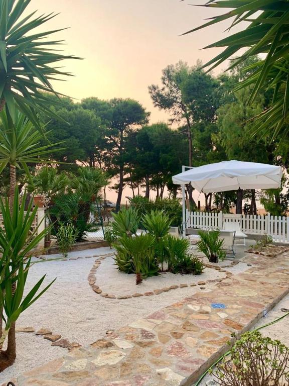 Zahrada ubytování L'oasi Una Pineta Sul Mare