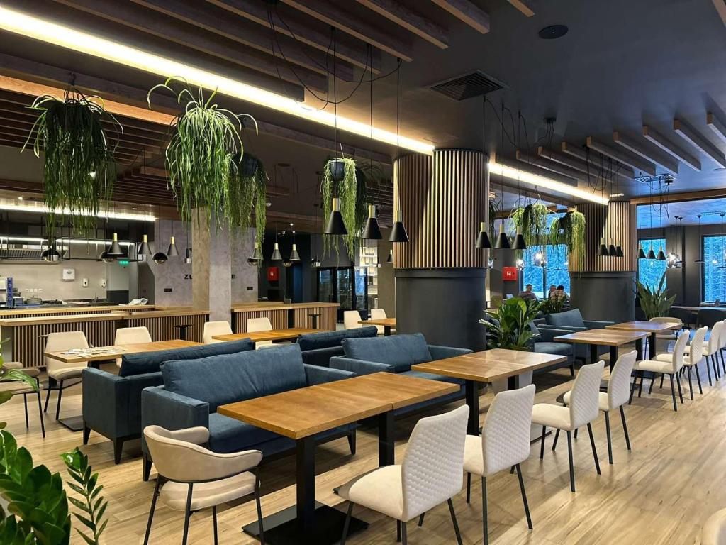 Lounge nebo bar v ubytování Zlatni Javor, Apartment 408