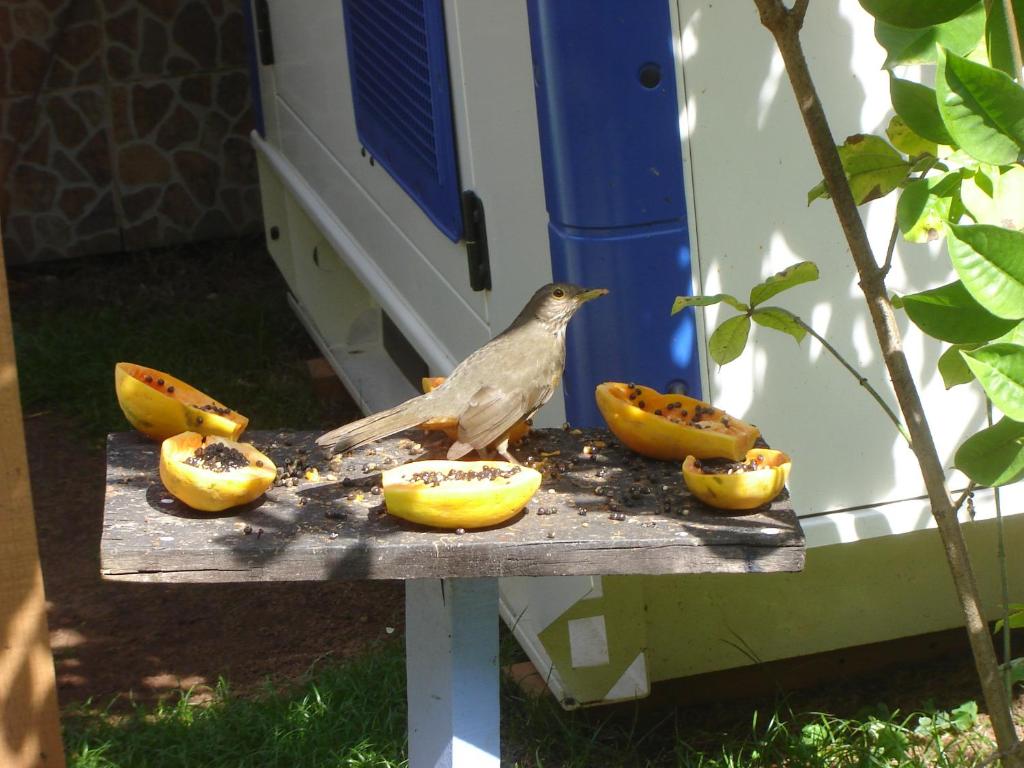  Pousada Pedacinho de Céu
