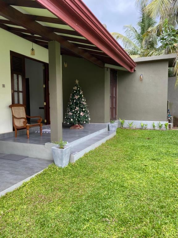 Zahrada ubytování Negombo 146 Homestay